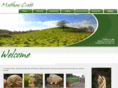 exmoorchainsawcarving.co.uk