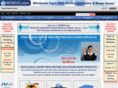 majorinternetservices.com