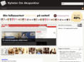 nyheteromakupunktur.com