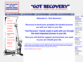 gotrecoveryinc.org