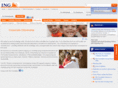 ing-usafoundation.com
