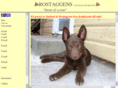 rostaggens.com