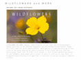 wildflowersandmore.com