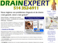 drain-expert.com