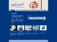 gefinsol.com