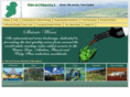 slaintewines.com