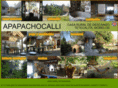 apapachocalli.com