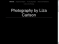 lizacarlson.com