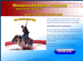 mechanicalbullrentaltoronto.com
