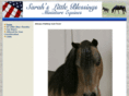 slbminiequines.com