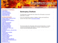 bankruptcychatham.net