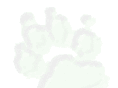cuir-center-stbonnet.com