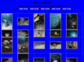 midwestaquatic.com
