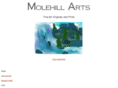 molehillarts.com