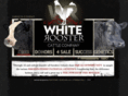 whiteroostercattle.com