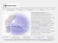 dominoengineering.com