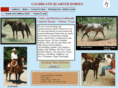 galbreathquarterhorses.com