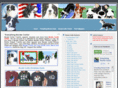 americanbordercollies.com
