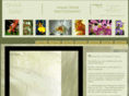 orchidsafari.com