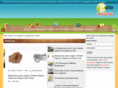 orocue.net