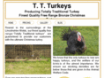 ttturkey.com