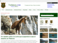 tuslances.com