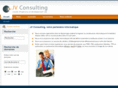 jv-consulting.net