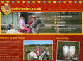 safe-ponies.com