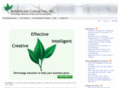 borderlandconsulting.com