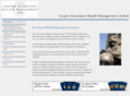cooperassociateswealthmanagement.com