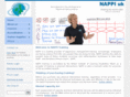nappiuk.com
