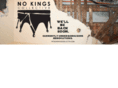nokingscollective.com