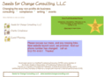 seedsforchangeconsulting.com