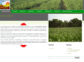 cooperativaglus.com