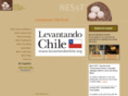 levantandochile.org