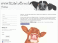 lizziehall.com