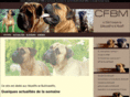 mastiff-bullmastiff.com