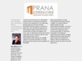 pranaconsulting.com