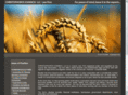 ioannoulawfirm.com