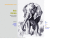 pencillustration.com