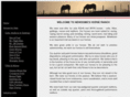 newsomehorses.com
