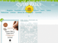 quimvalls.com