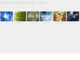 xpertwebsite.com