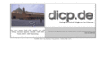 dicp.net