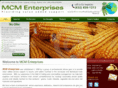 mcm-e.com