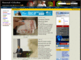 onlineseoul.com