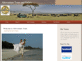 afroventuretours.com