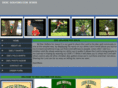 discgolfersforjesus.com