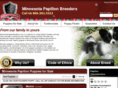 minnesotapapillonbreeders.com