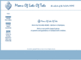 momsoflotsoftots.com